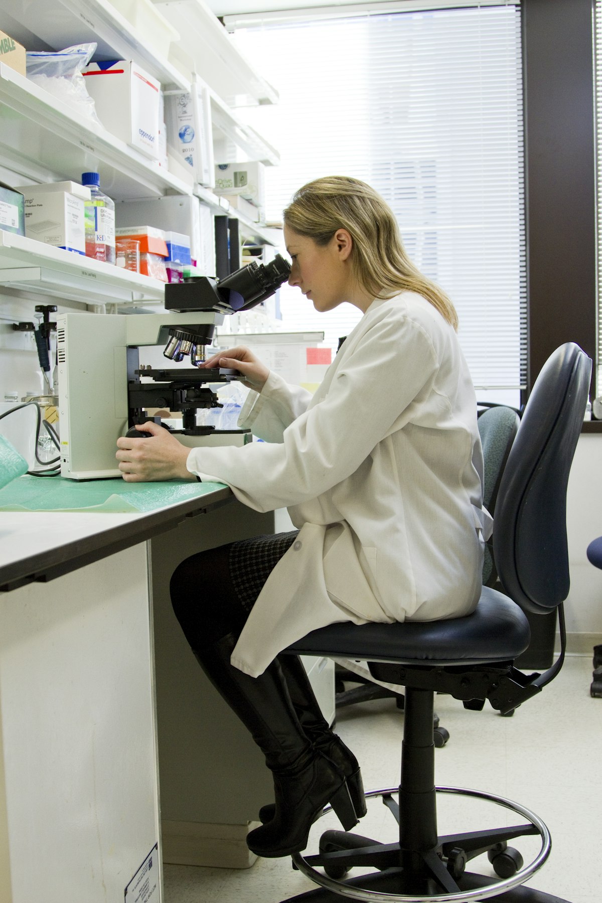 IVF